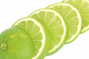 lime slices macro